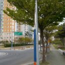 금호강변로 이미지