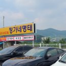 금강코다리
