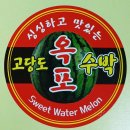옥포과일
