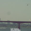 세둥지주
