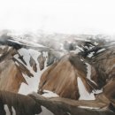 한국폴리텍 V 대학 광주캠퍼스 이미지