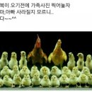 사진을 찍다 이미지