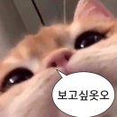 몸보신하러 낙지가 맛있는 경복궁역 맛집 “목포세발낙지”먹고온 내돈내산 후기