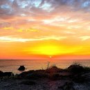 애월토리니 이미지