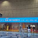 2025 코엑스 베이비페어 코베 입장권 주차 꿀팁 쇼핑리스트 후기