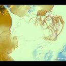 닥터문의원 이미지