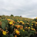 행복한삶건강한삶 이미지