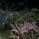 용담공원 이미지