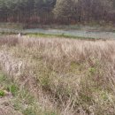 준형농장 이미지