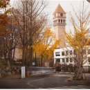 세종대학교 관광대학원 이미지