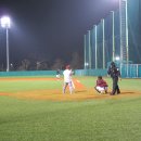 장안천야구장 이미지