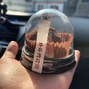 마루과자점 | [울산/동구] 동구 두쫀쿠를 찾는다면 꾸꾸과자점 내돈내산 후기