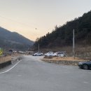 삼부자미나리 이미지