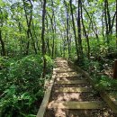 큰나무요양병원 이미지