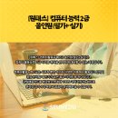 세움컴퓨터 이미지