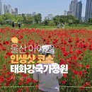 삼산로R 네이버블로그