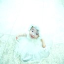 포토이즈 Daum카페