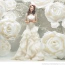 엠스헤어 이미지