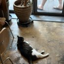 제이커피 이미지