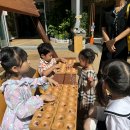 자연나라 이미지