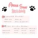 아로하스토리