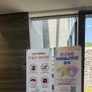 박수근 | 양구군립박수근미술관 후기 5월 무료입장으로 다녀온 양구 산책하기 좋은 곳