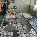 새암유통 이미지