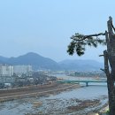 황룡강펜션게스트하우스 이미지