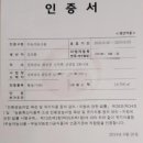 진달래 황칠농원 네이버블로그