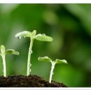 흙으로의 여행 이미지