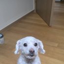 더라온메디칼 이미지