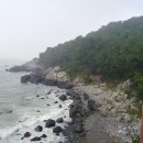 바다숲풀내음