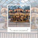 서면부민동물약국 | 소노벨 비발디파크 플렉스몰 정보 및 구경하기