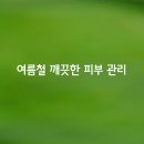 여름철 깨끗한 피부 관리 이미지