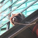 수타일번지 이미지