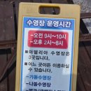 아델리아펜션 | 숙소 추천] 여름휴가로 딱! 워터슬라이드 수영장이 있는 '경주 아델리아 펜션' 1박 2일 물놀이 솔직 후기