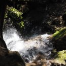 도림사 관광지(주차장) | 💦 2025년 광주·광주 근교 계곡 완전정복｜가족·아이·연인 모두 만족! 최신 숨은 명소부터 안전한...