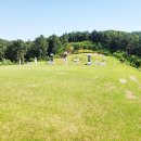 수성최씨시조묘 이미지