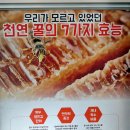 월문양봉 | [덕소 맛집] 백봉꿀갈비에서 맛있는 점심먹었습니다!