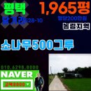 당거리농장 이미지