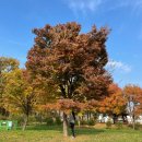 WR(인천광역시 서구)-[정서진로]-하-39 | 오랜만에 쓰는 일상 일기:)