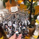 남남수학원 | 설에 일주일 제주도 갔다온썰푼다(2): 패밀리렌트카, 신설오름, 파드마 제주,리듬카페, 귤귤스토어 도두...