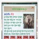 봉덕식당 네이버블로그