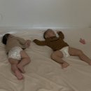 폴앤풀-대구수성