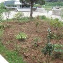 열무농장 이미지