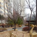 쌍용아파트후문 이미지