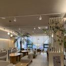 합포로 | 브라운도트 호텔 마산양덕점 스탠다드B 509호 내돈내산 후기
