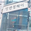 정앤영 이미지