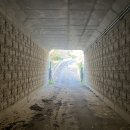 이성중묘 | (의정부) 발해고의 저자, 실학자 유득공 묘