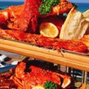 선셋티아 이미지